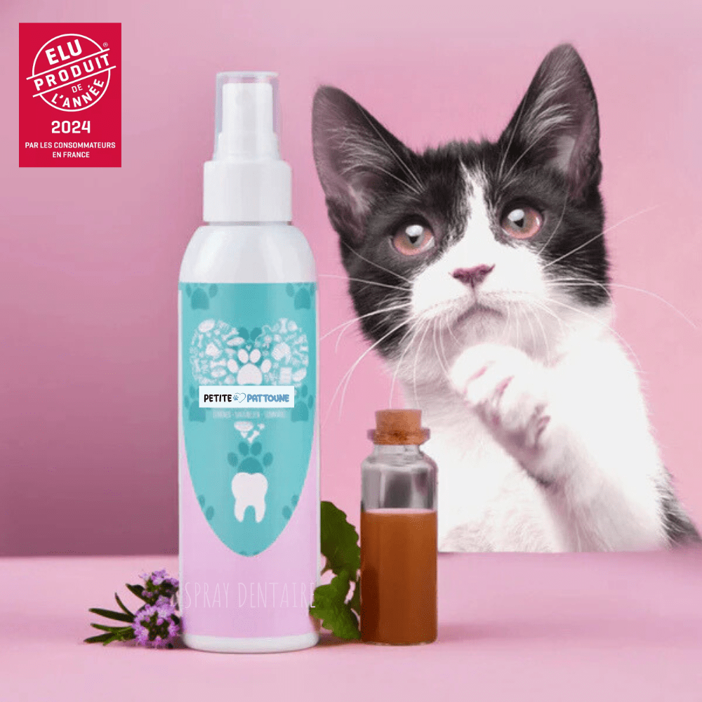 Spray Dentaire 100% Naturel pour Chats