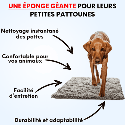 Tapis CleanPattoune™ - Le Confort Pour Lui, La Propreté Pour Vous