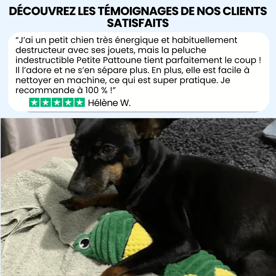 La peluche indestructible qui dure vraiment