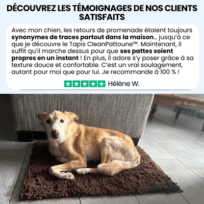 Tapis CleanPattoune™ - Le Confort Pour Lui, La Propreté Pour Vous